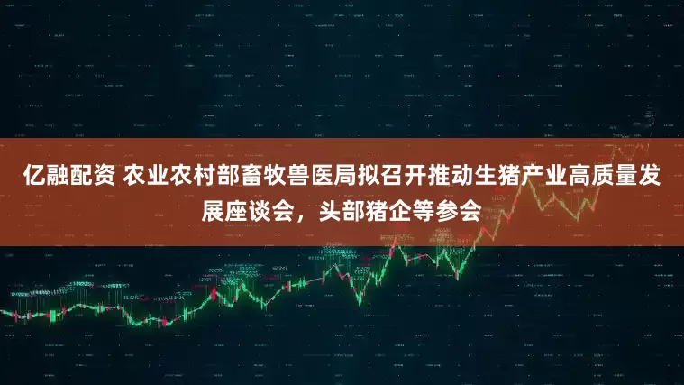 亿融配资 农业农村部畜牧兽医局拟召开推动生猪产业高质量发展座谈会，头部猪企等参会